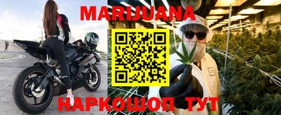 гидра Кандалакша