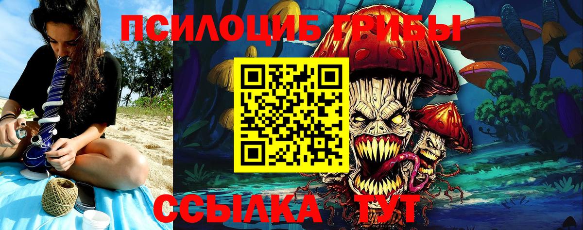 Галлюциногенные грибы GOLDEN TEACHER  Вход с VPN  Кузнецк 